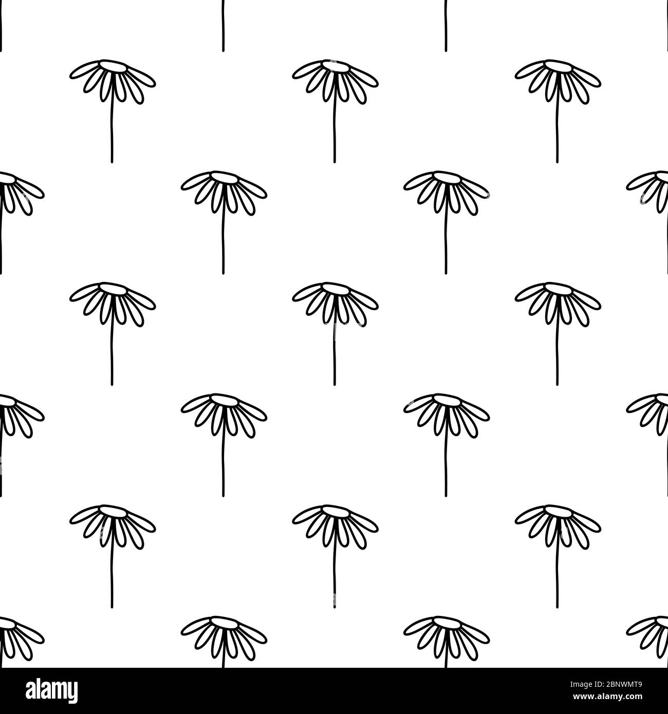 Seamless pattern made from doodle chamomile flowers. Isolated on white ...