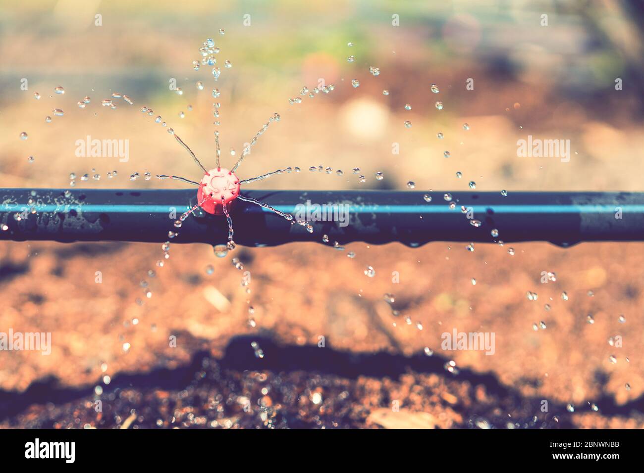 Sprinkler systems, drip irrigation, watering lawns. Drip Irrigation