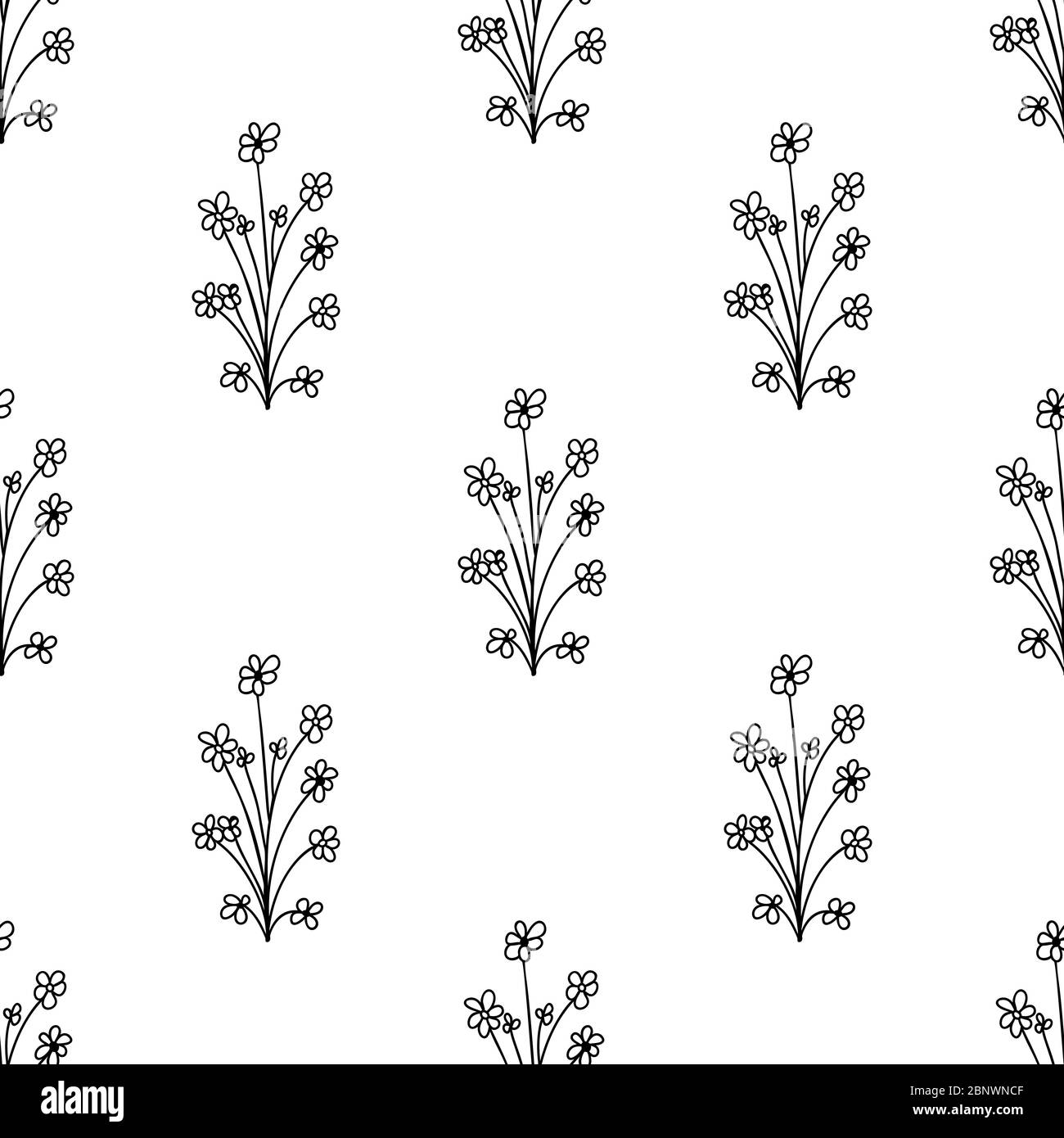 Seamless pattern made from doodle chamomile flowers. Isolated on white ...