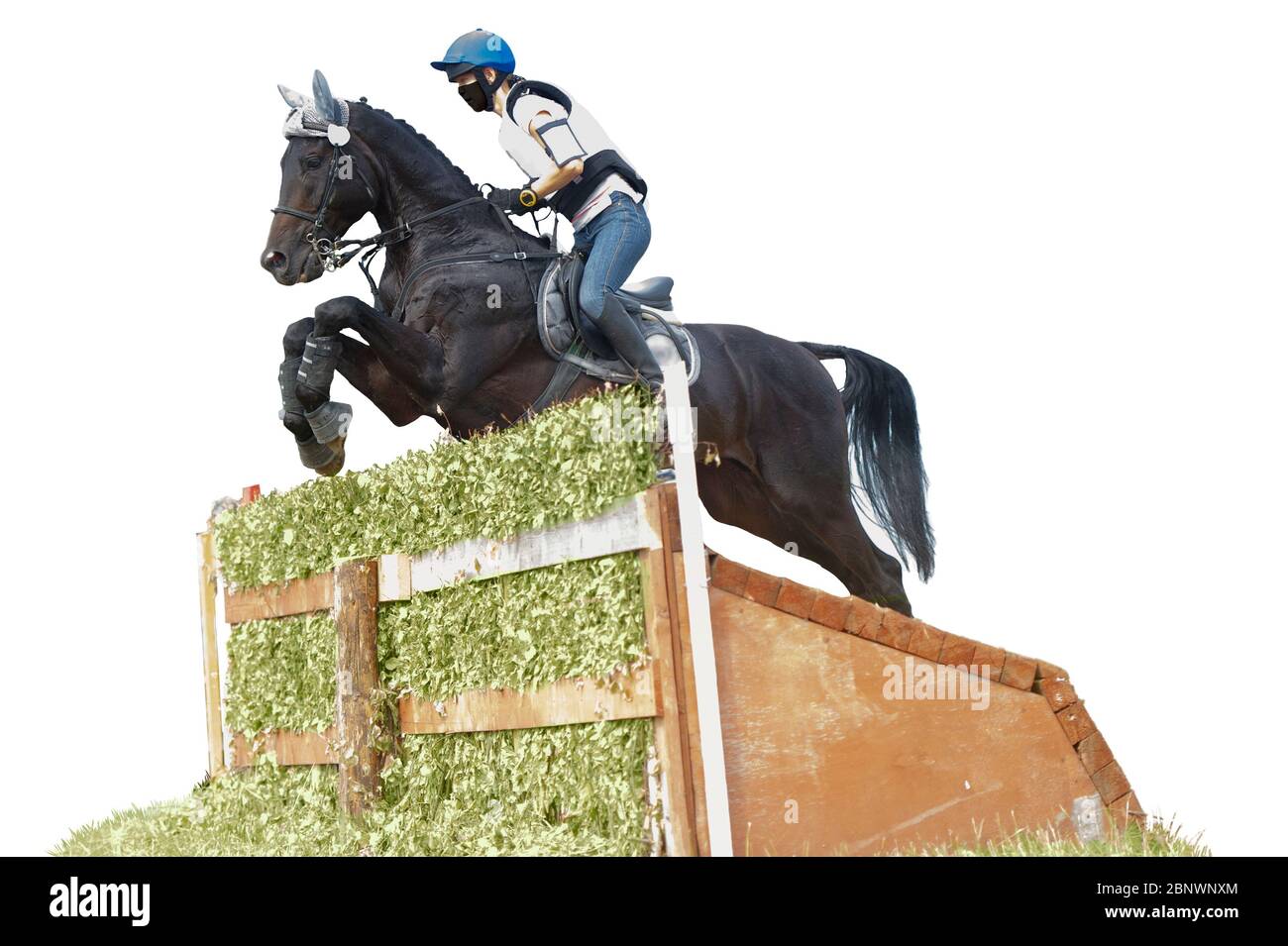 Eventing: equestrian rider jumping over an obstacle. Isolated on white ...
