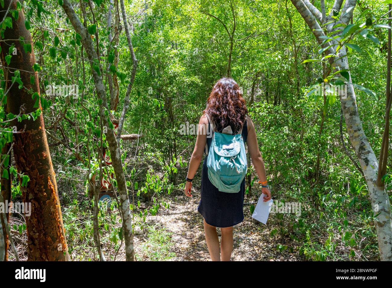 Young woman walking in the forest carrying a big blue bag with her Stock Photo
