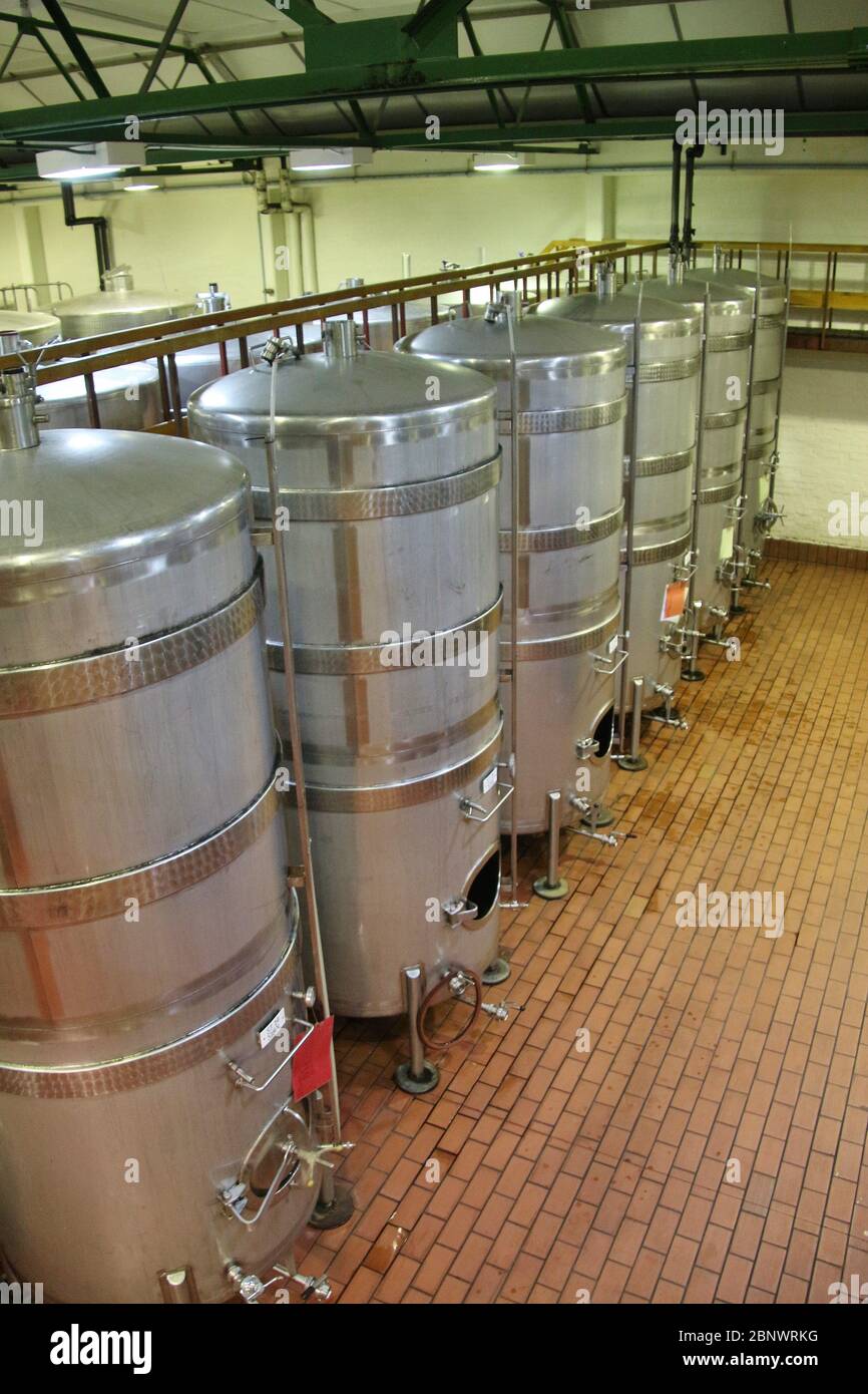 Barrels and technical equipment inside the wine cellar of the vinery