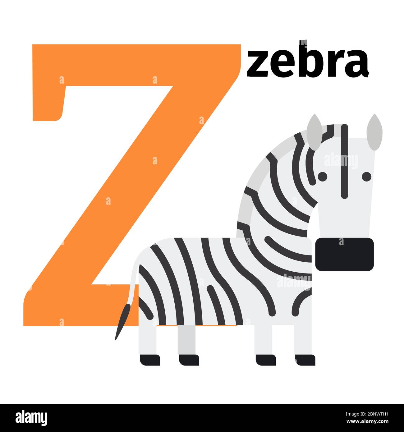 English animals zoo alphabet with letter Z. Zebra vector illustration Stock  Vector Image & Art - Alamy