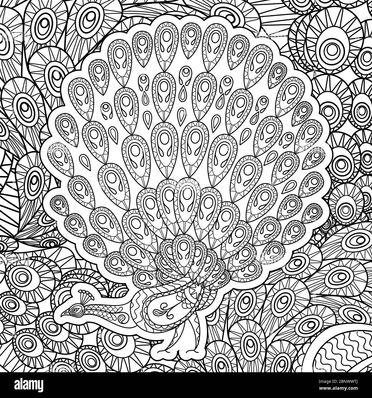 Coloring page for adults with Peacock vector illustration Stock Vector