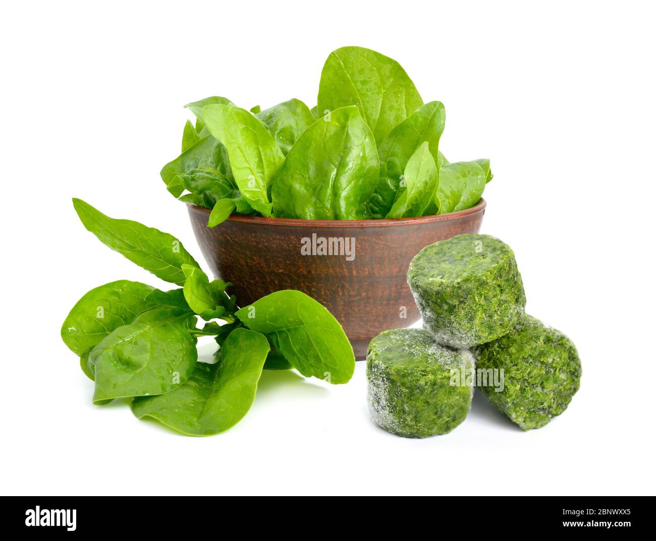 Fresh and Frozen Spinach leaves. Isolated on white background Stock