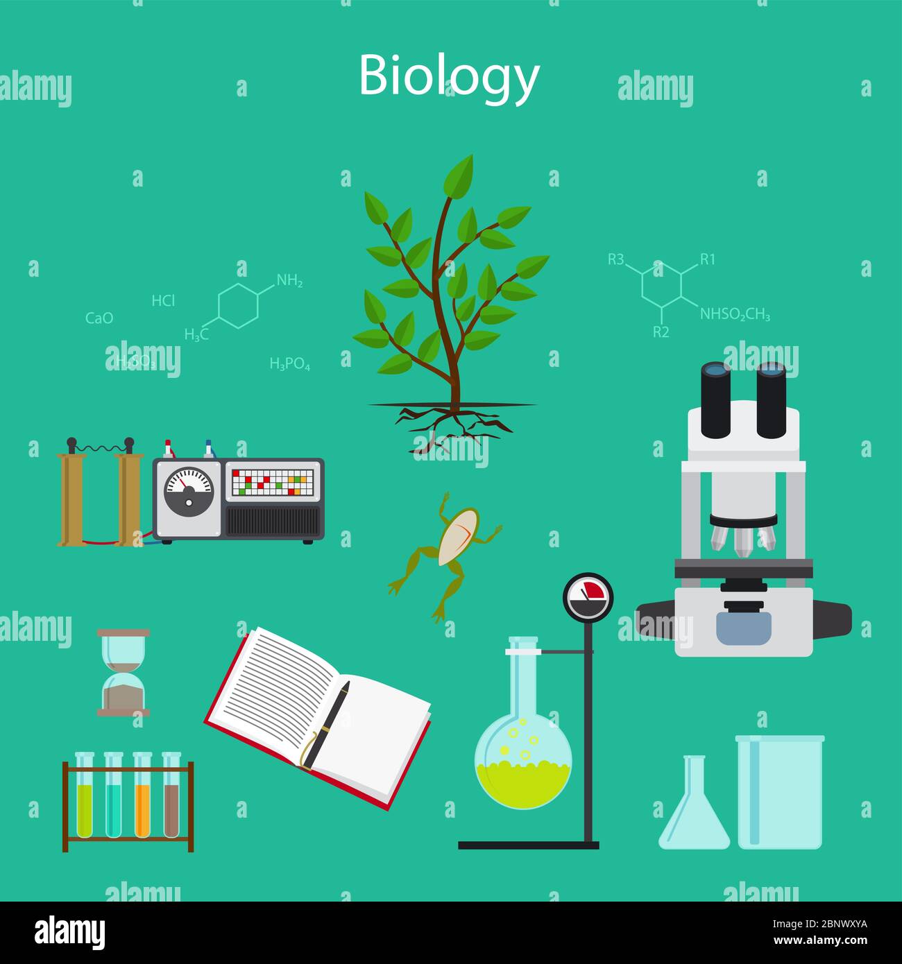 Biology research cartoon illustration with icons. Vector illustration Stock  Vector Image & Art - Alamy