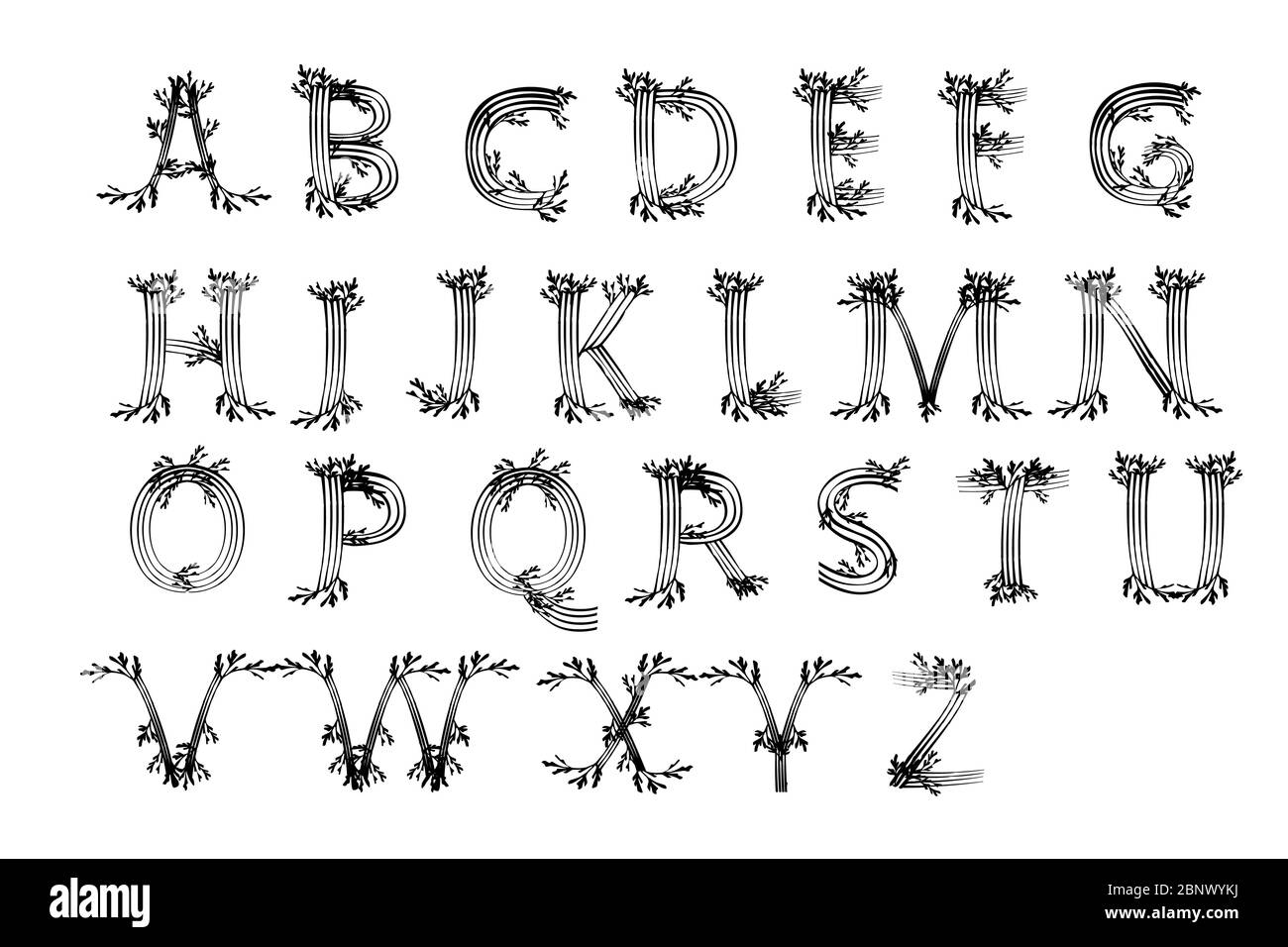 Set of letters alphabet black silhouette seaweeds underwater ocean