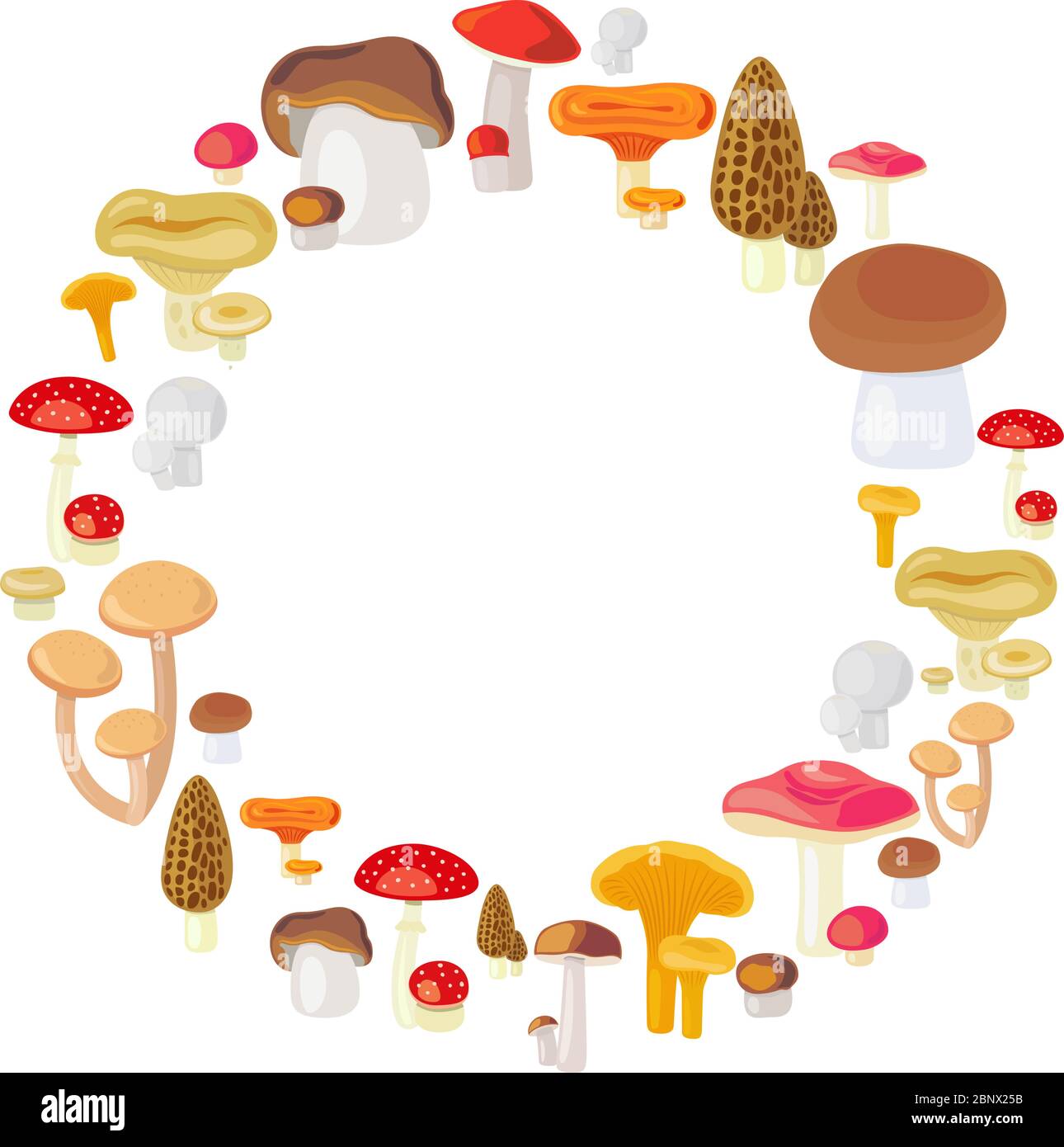 Mushroom round frame isolated on white background. Vector illustration Stock Vector