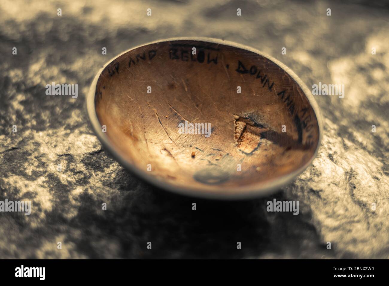 Jumbo shells hires stock photography and images Alamy