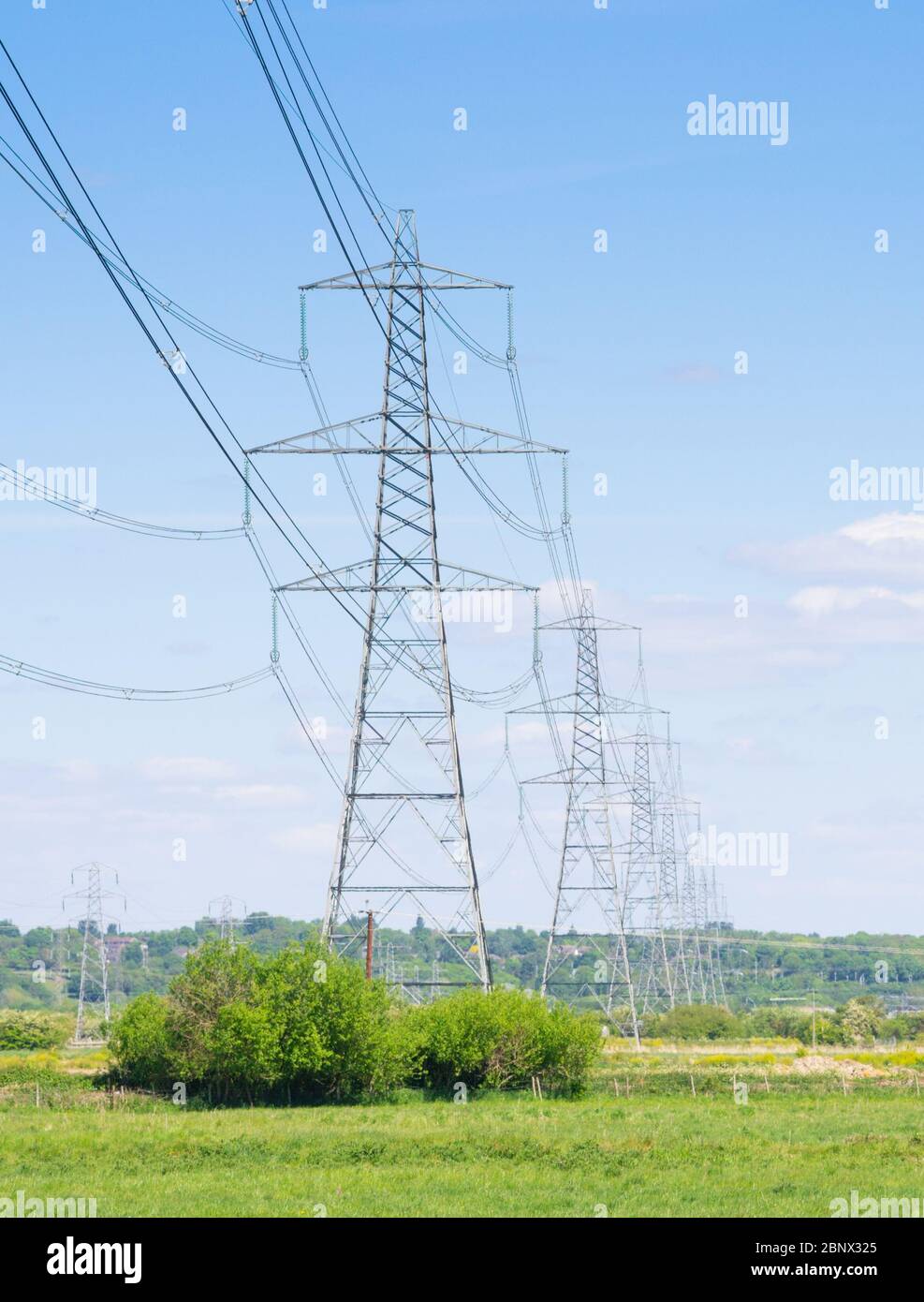 Row of pylons on sunny day in field, Frodsham Cheshire England UK