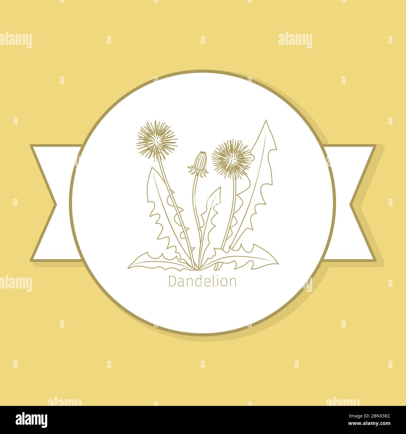 Dandelion medicine plant, yellow label design in circle shape. Vector illustration Stock Vector