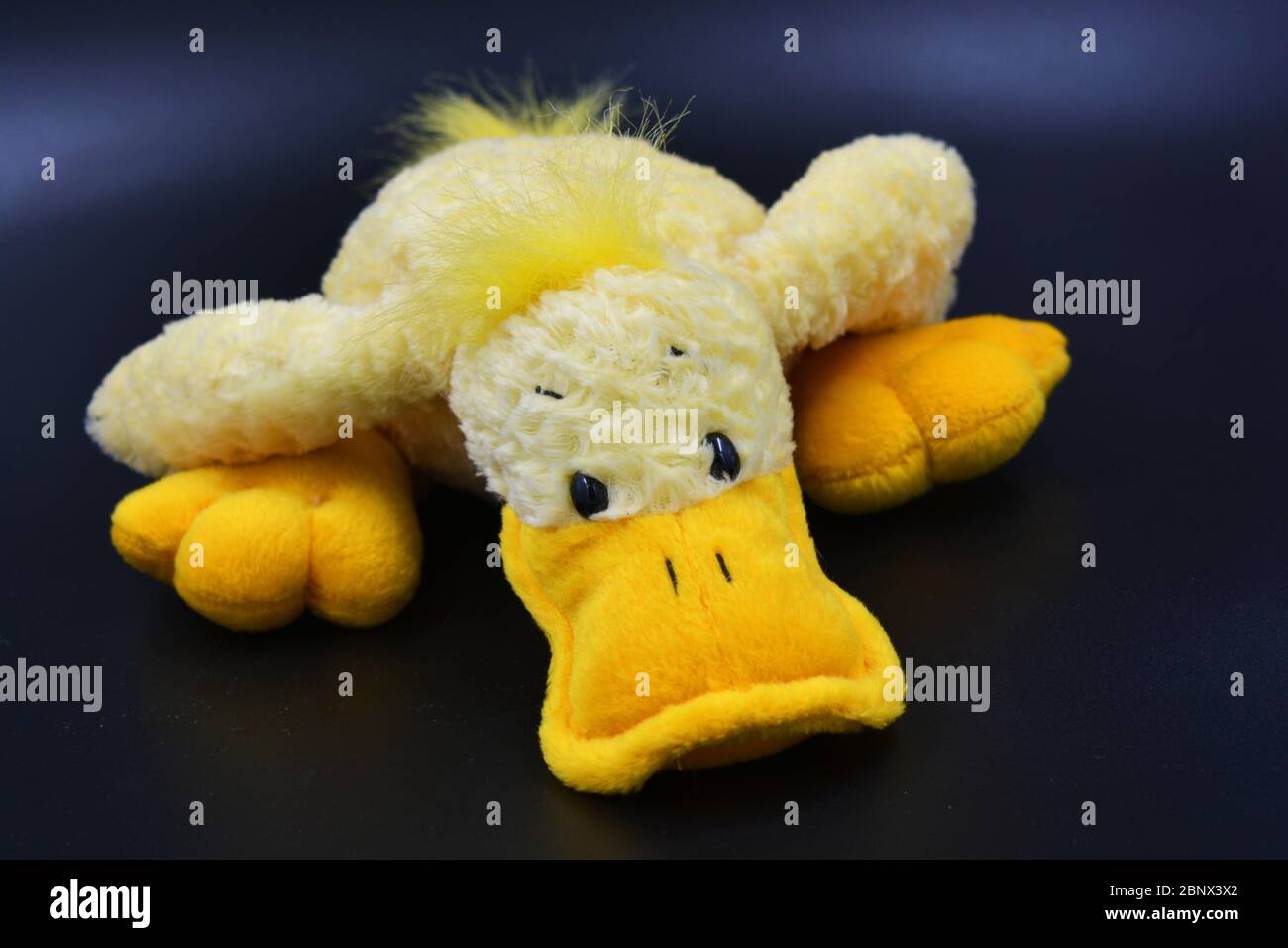 anna club plush duck