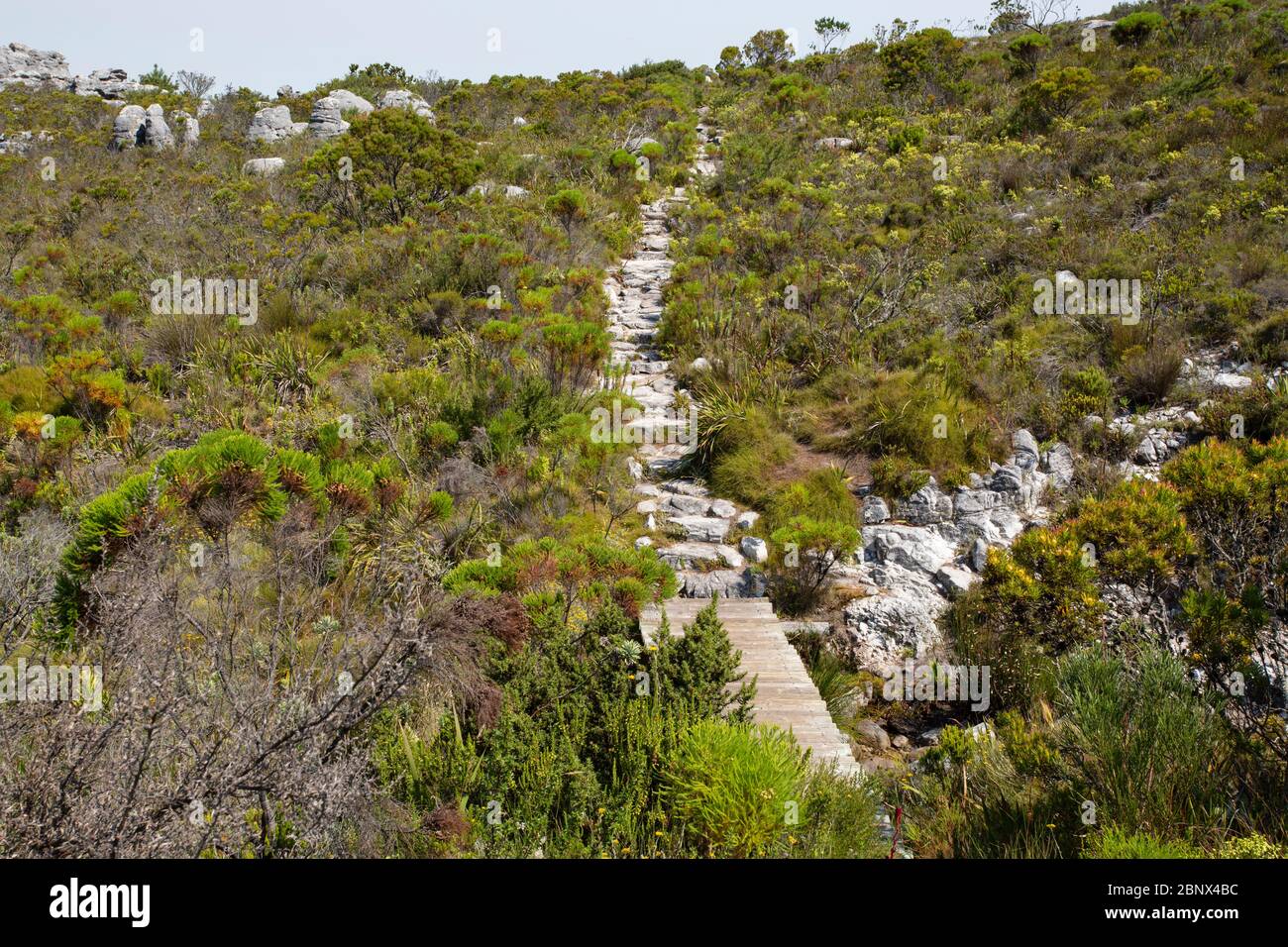 The Smuts Track  on the summit of Table Mountain, Cape Town Stock Photo