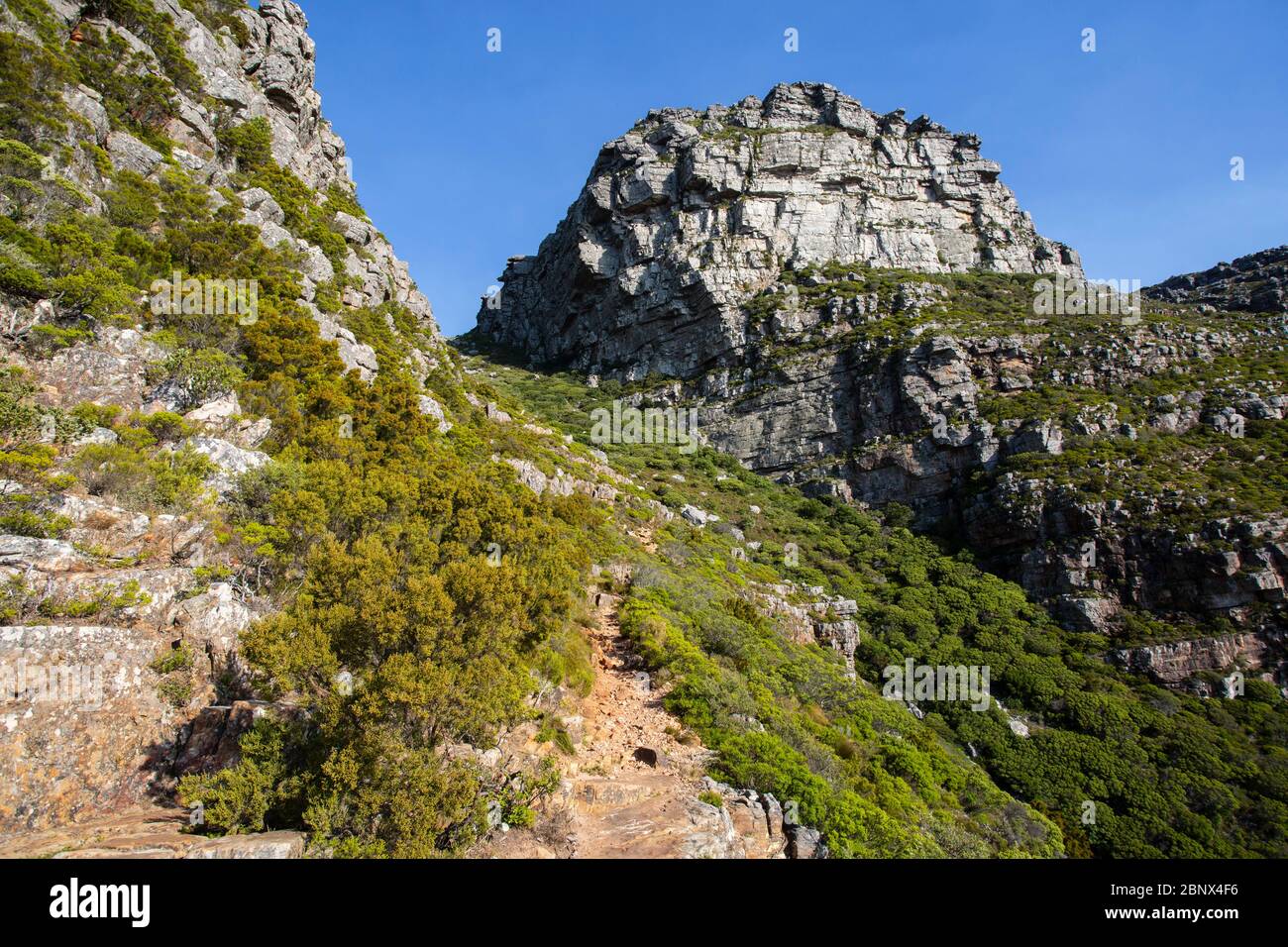 Kasteelspoort Hiking trail on the summit of Table Mountain, Cape Town Stock Photo