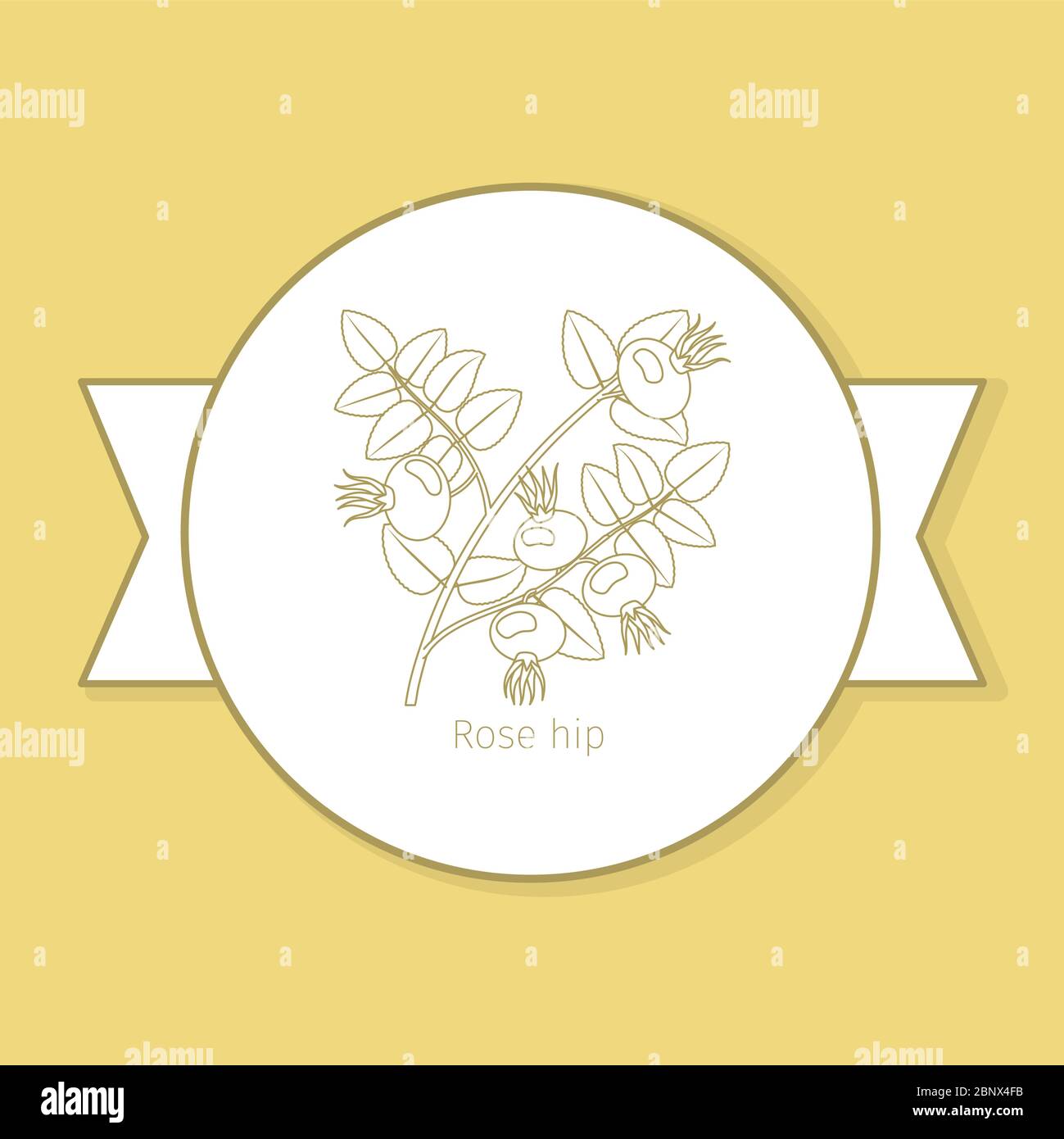 Rose hip medicine plant, yellow label design in circle shape and flat shadow. Vector illustration Stock Vector