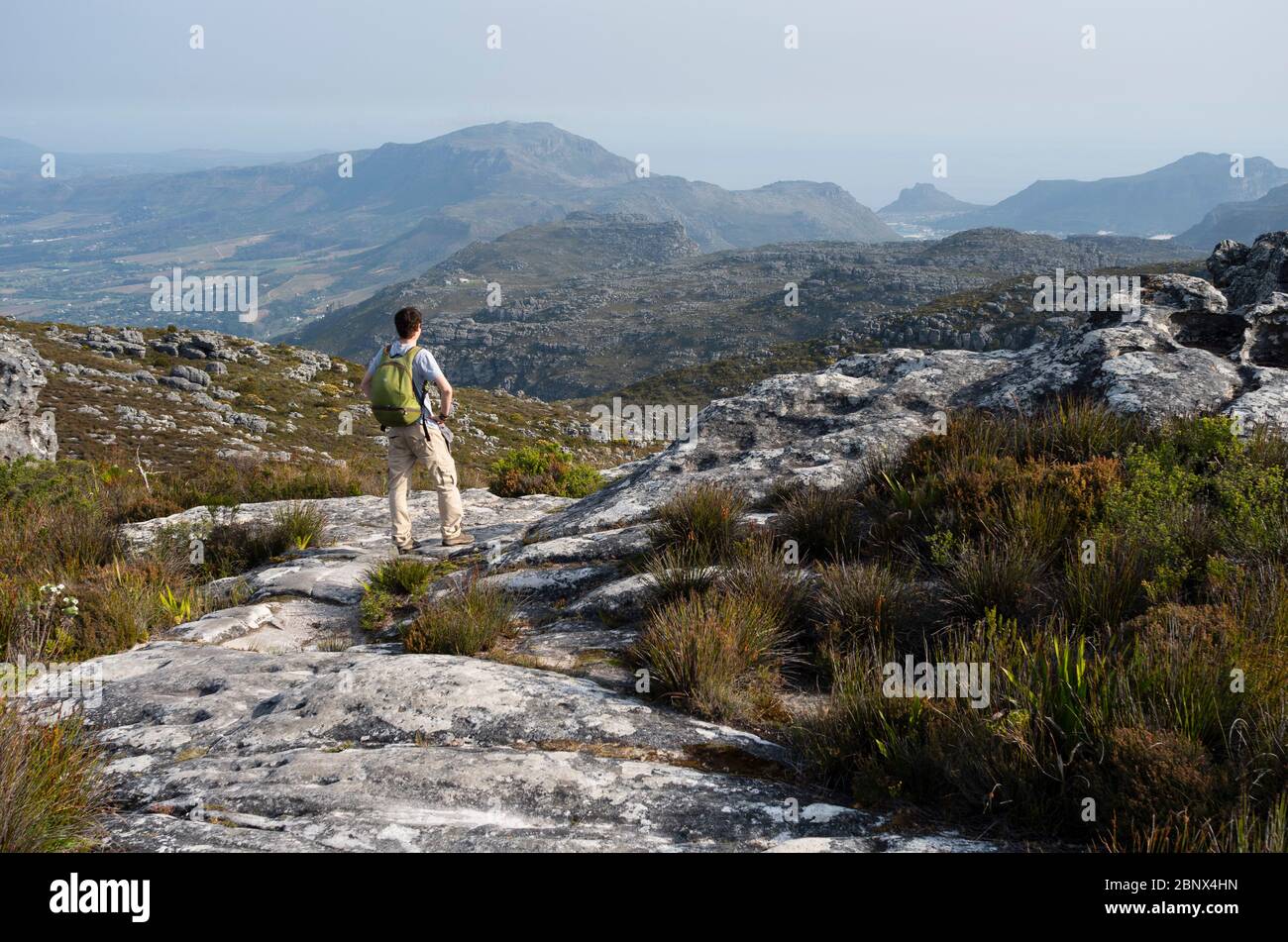 The Smuts Track on the summit of Table Mountain with views of  Hout Bay, Cape Town Stock Photo