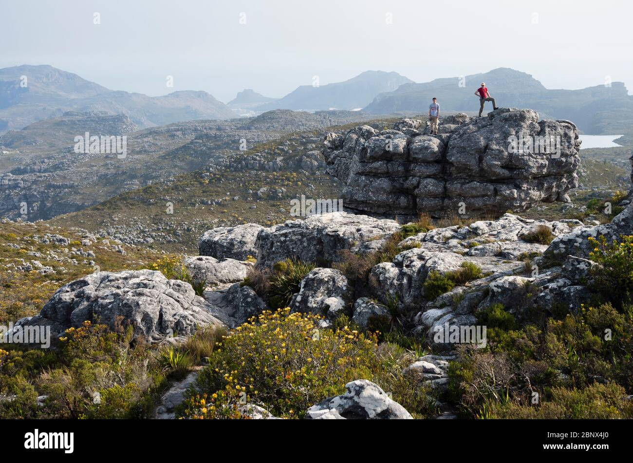 The Smuts Track on the summit of Table Mountain with views of  Hout Bay, Cape Town Stock Photo