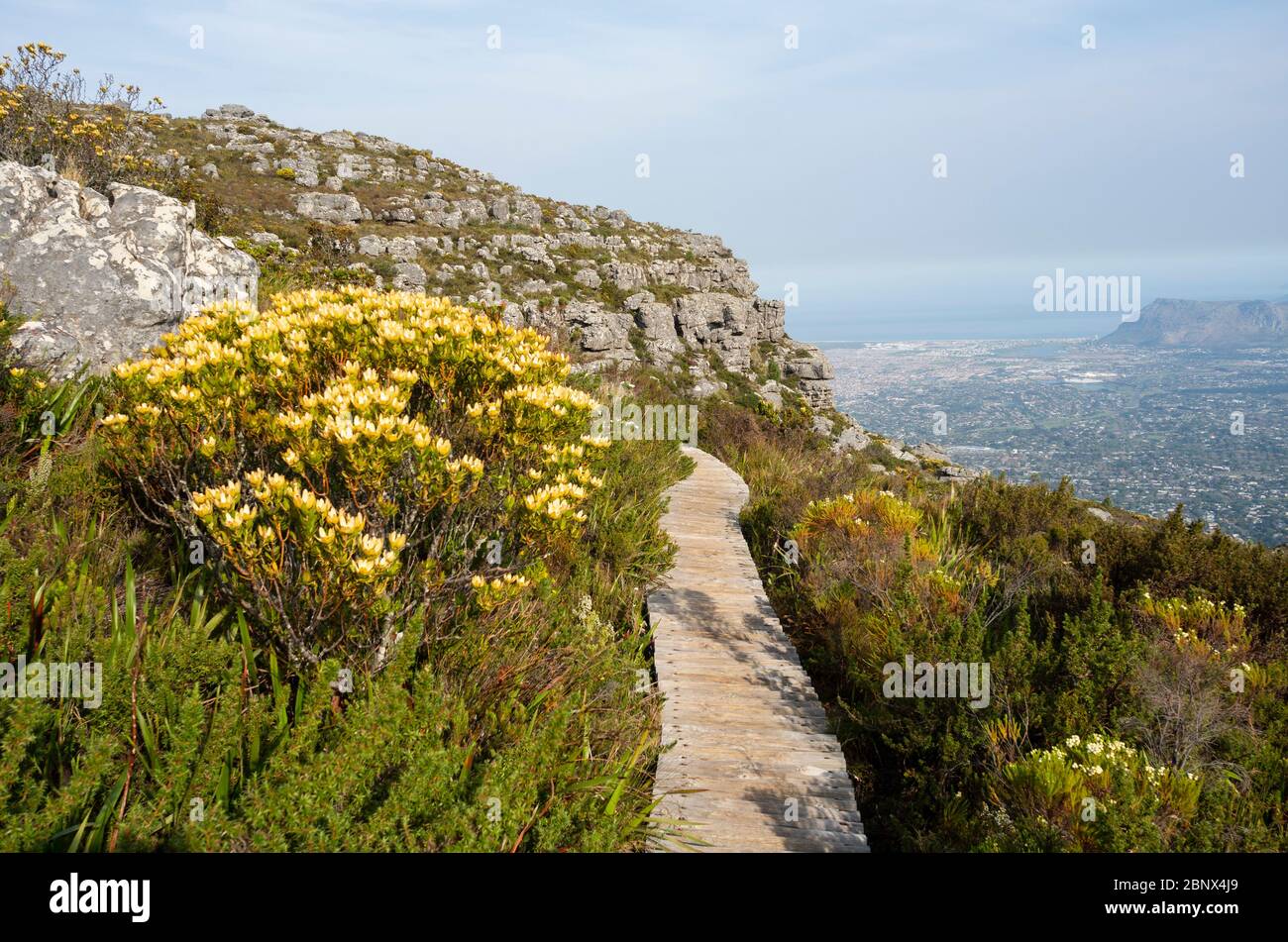 Hiking trails on the summit of Table Mountain, Cape Town Stock Photo