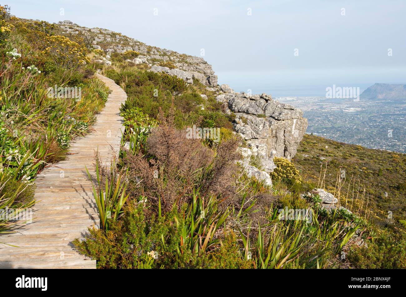 Hiking trails on the summit of Table Mountain, Cape Town Stock Photo