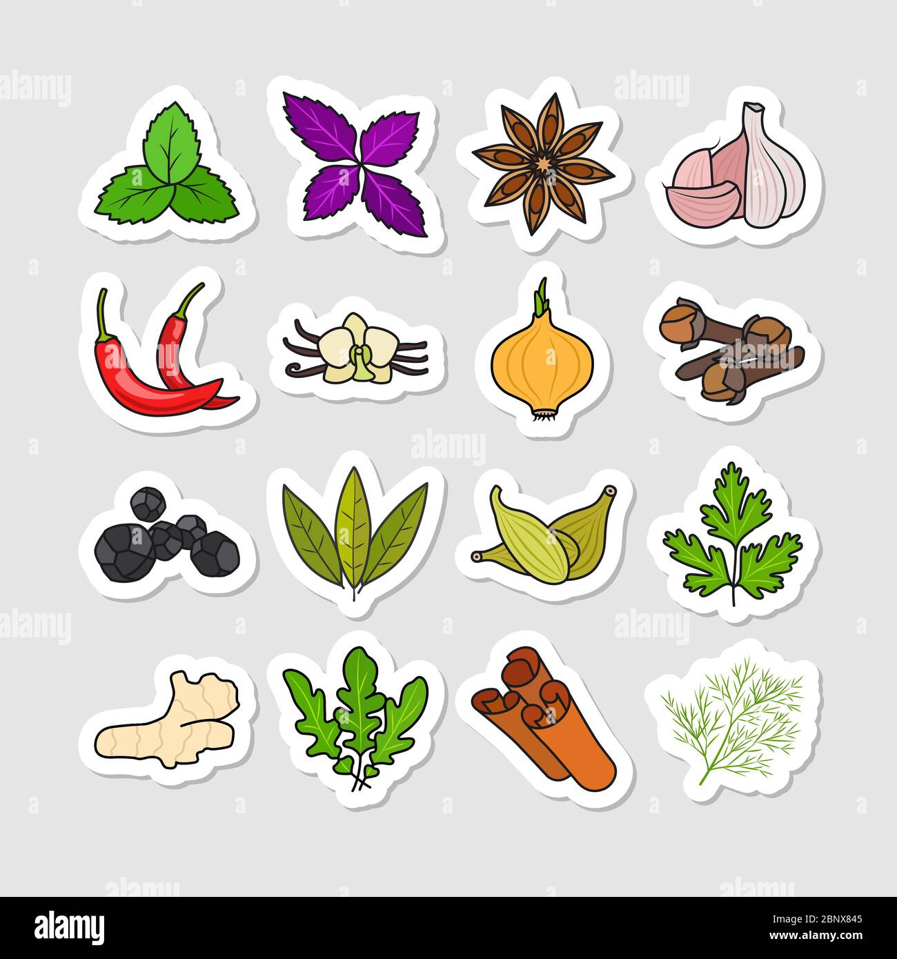 Herbs and spices vector stickers. Hand drawn colored condiments Stock