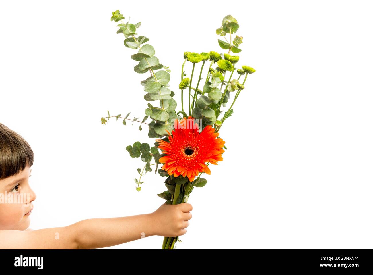 Young girl offering a bouquet of flowers isolated on a white background. Mothers Day Concept. Stock Photo