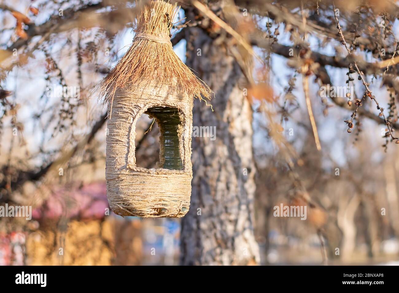 a bird feeder made of thread and a plastic bottle hangs in the Park on a  tree Stock Photo - Alamy, image size:1300x956