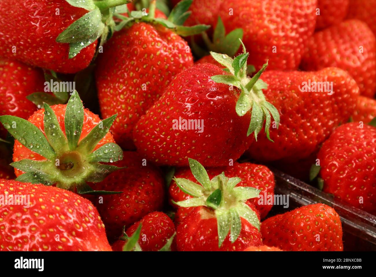Red and green strawberries hi-res stock photography and images - Alamy
