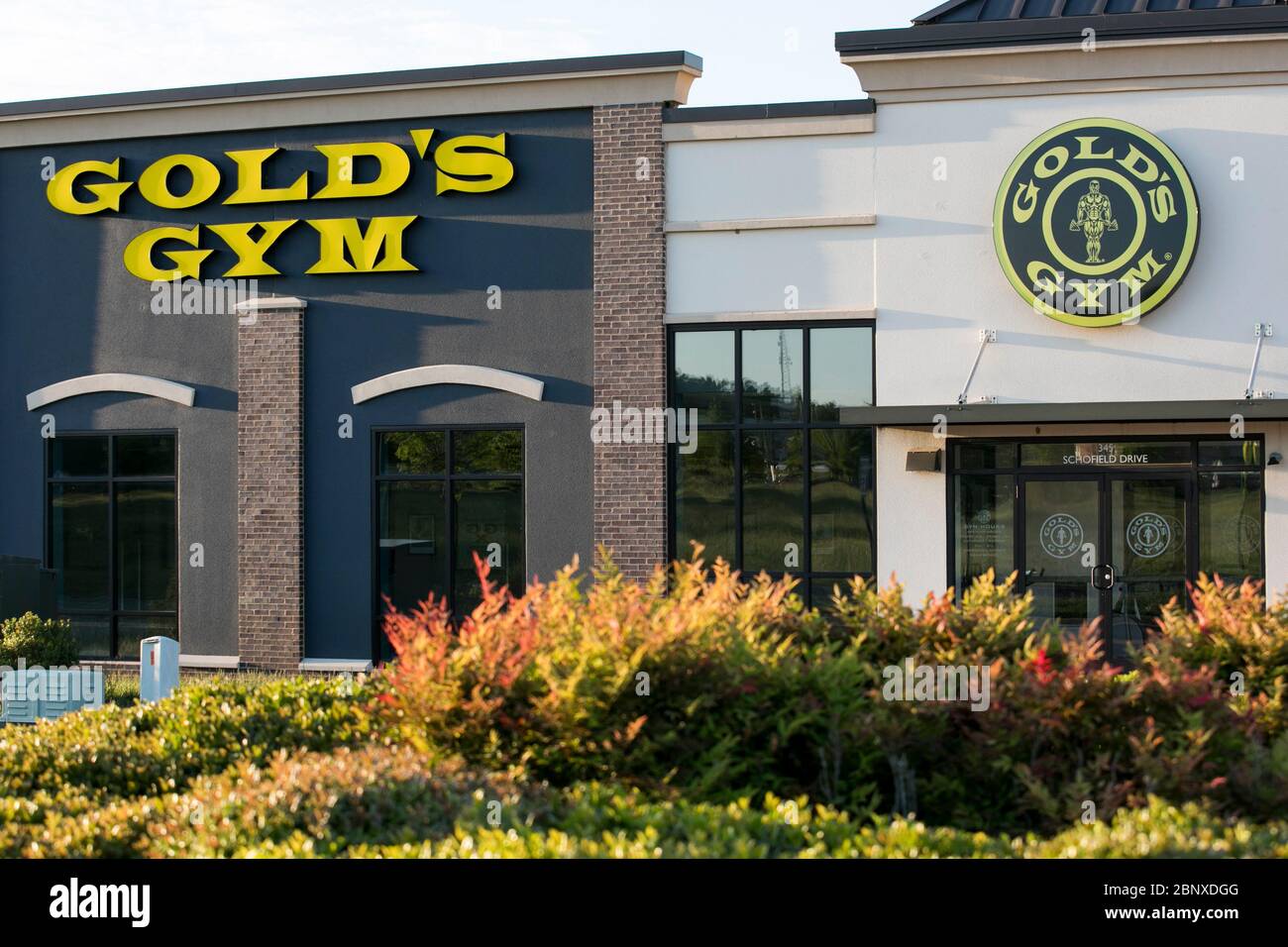 Golds Gym Logo High Resolution Stock Photography And Images Alamy Golds Gym Logo High Resolution Stock Photography And Images Alamy
