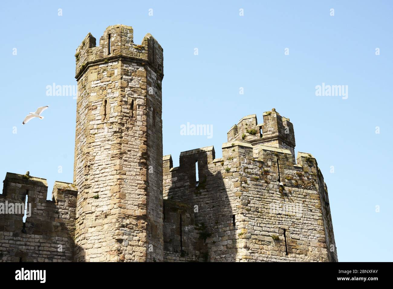 The towers at Caernarfon castle in North Wales Stock Photo