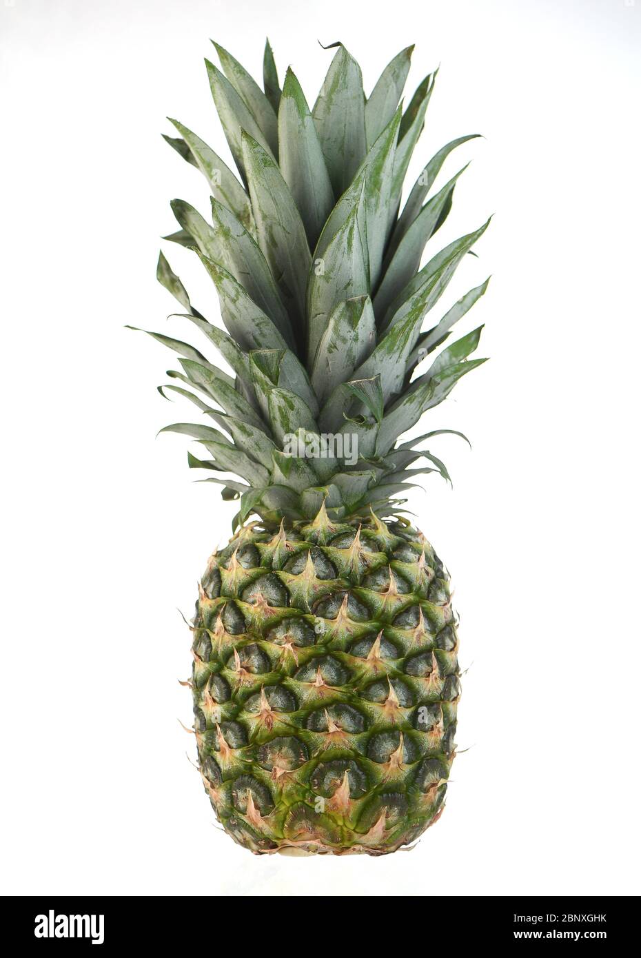 Fresh whole pineapple isolated on a white background Stock Photo