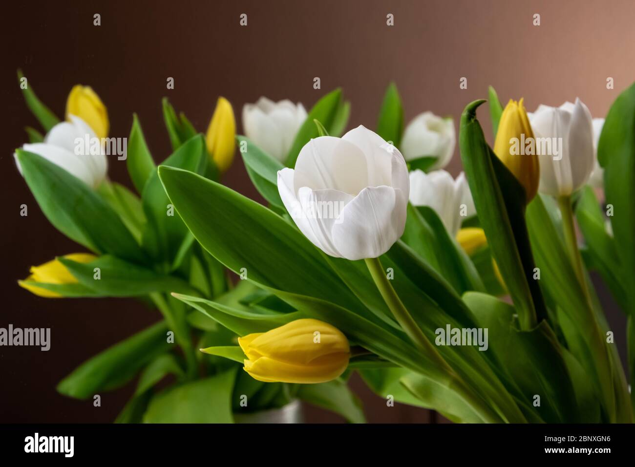 flowers for womens birthday
