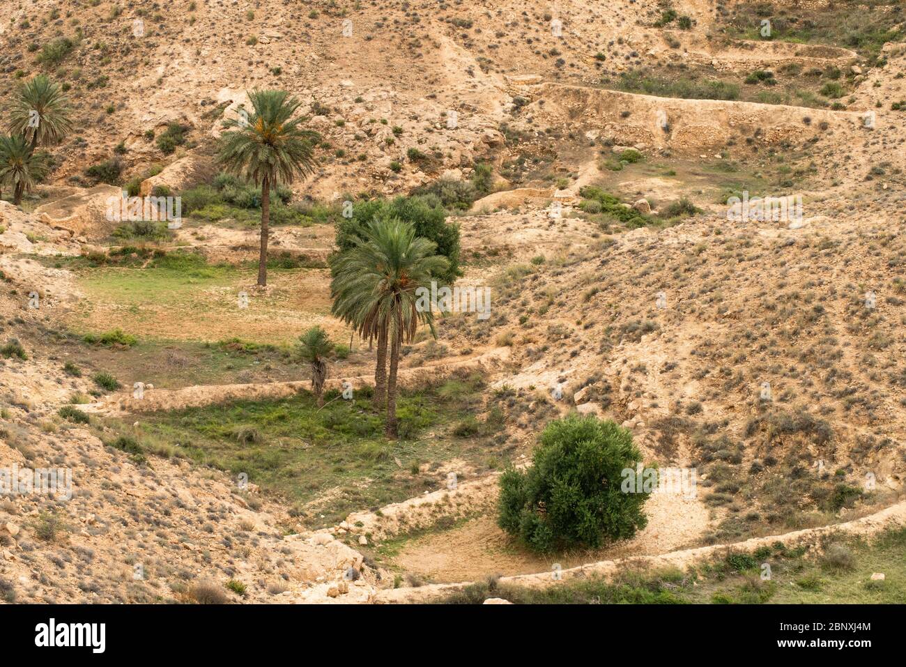 in tunisia, to the djebel dahar Stock Photo Alamy
