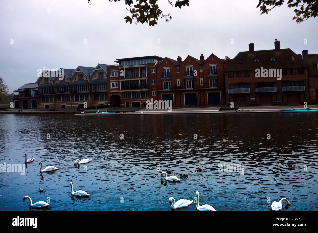 River Thames. Windsor, Berkshire, England, UK Stock Photo