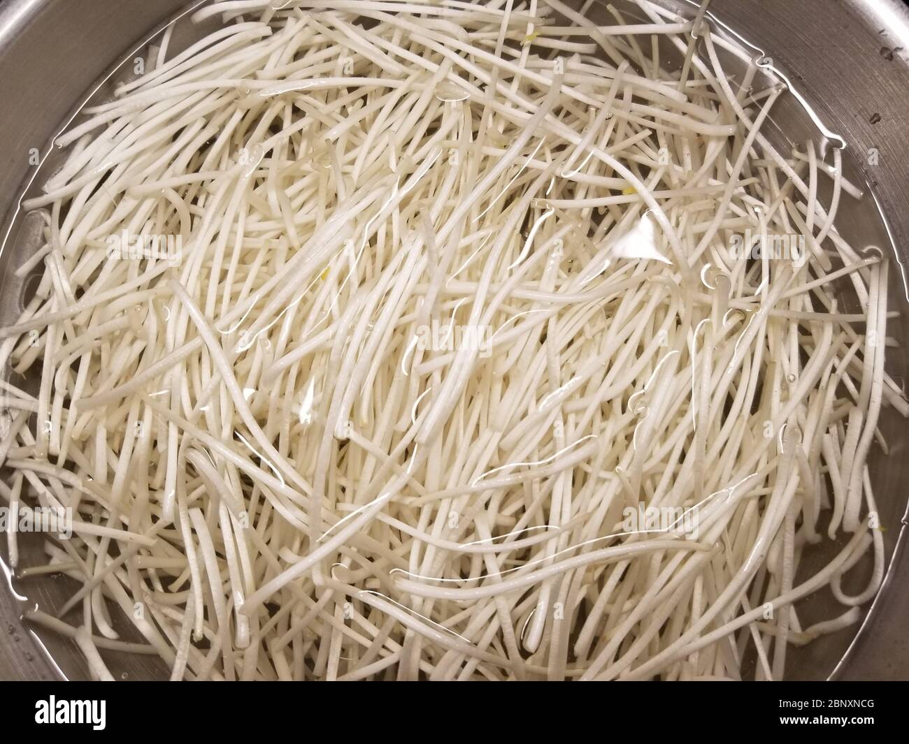 Trimmed of the spent seed head and small thin roots, bean sprouts are cleaned in fresh water Stock Photo