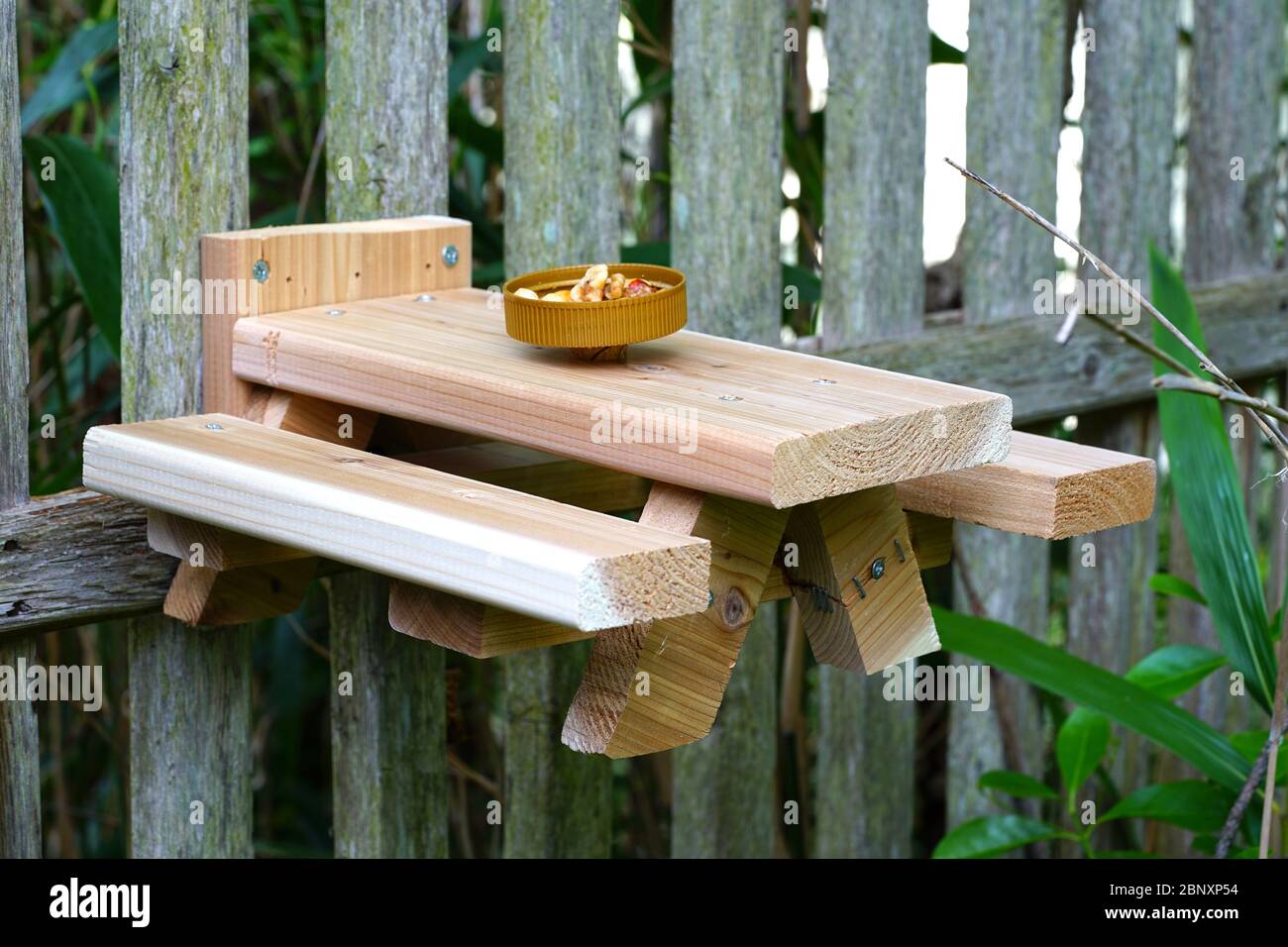 A wooden picnic table for squirrels and birds Stock Photo Alamy