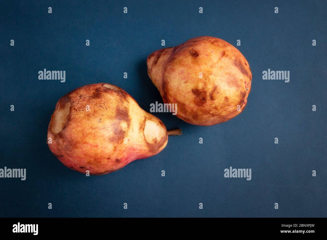 Over ripe red delicious pear against blue background. Zero waste and ...