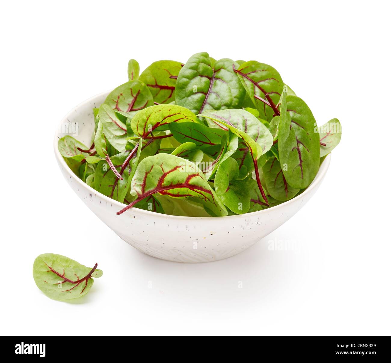 Fresh sorrel leaves in white bowl. Red veined sorrel. Micro green in ceramic bowl. Stock Photo