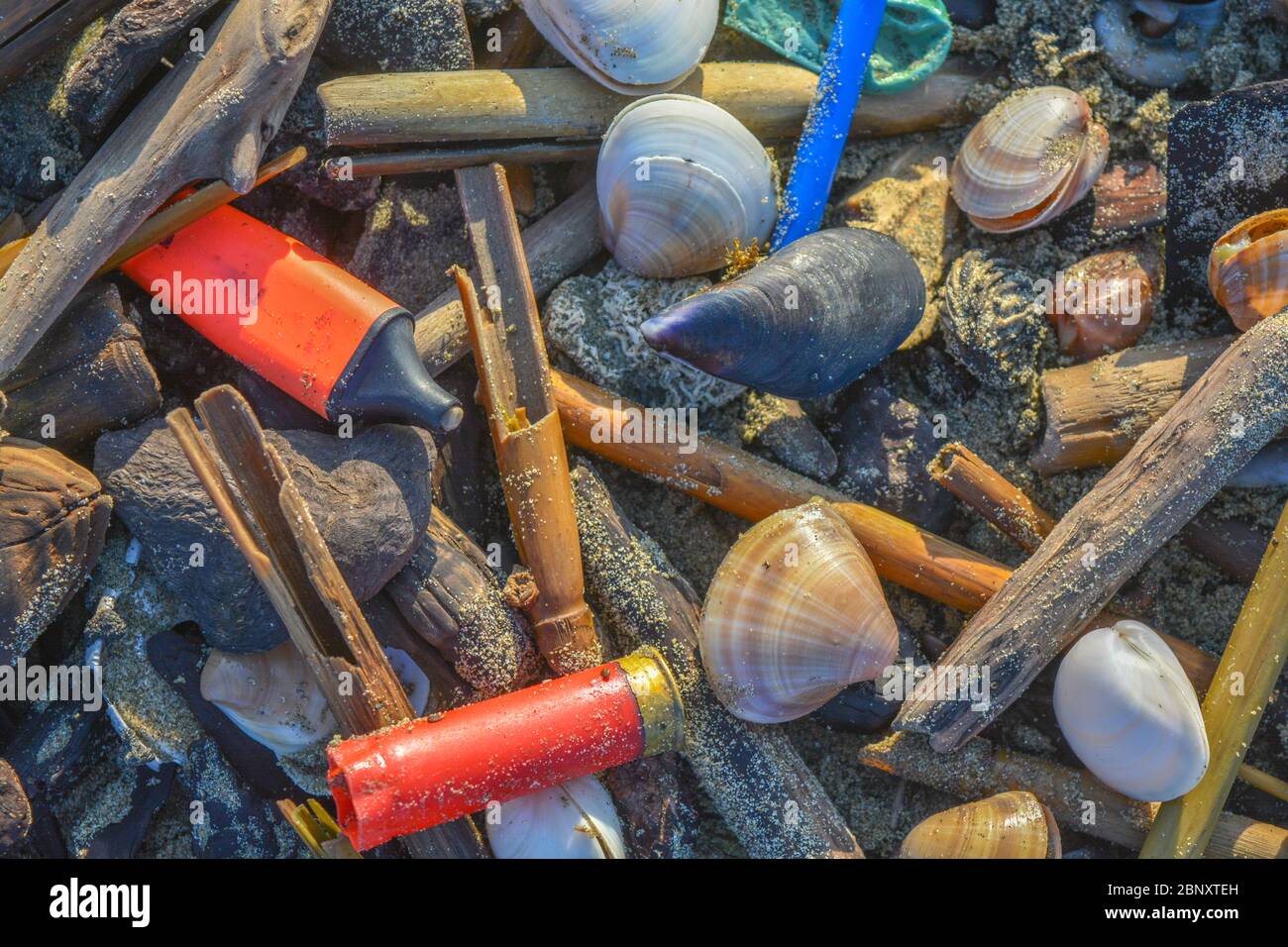 Closeup of a scene of pollution on a beach: a plastic marker and a shotgun shell washed up ashore together with dead seashells and mussels. Enviroment Stock Photo