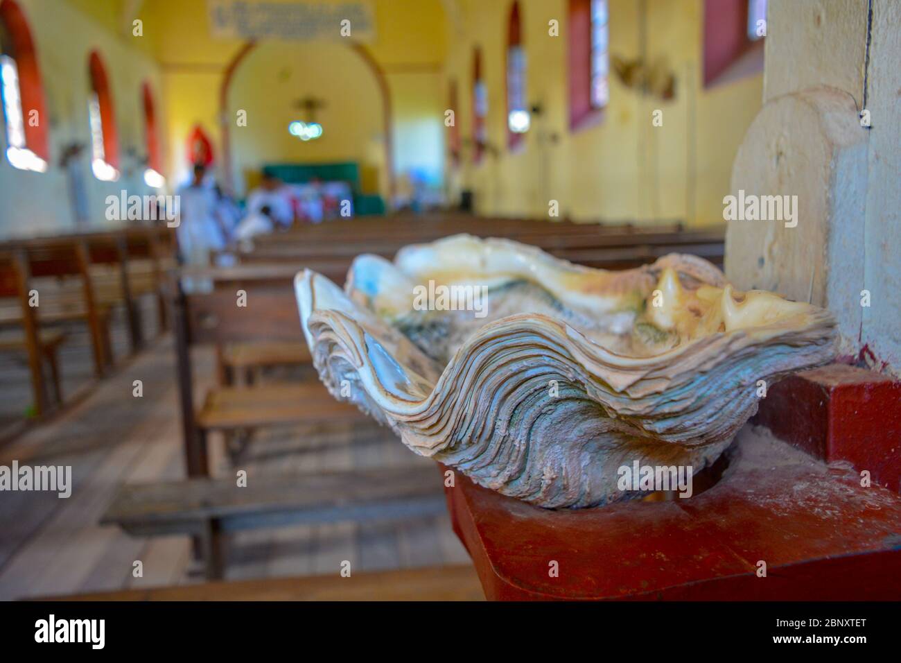 A beautiful container for holy water in church. Bowl for blessed water in cathedral, Natural huge seashell and empty seats in catholic church, indoor Stock Photo