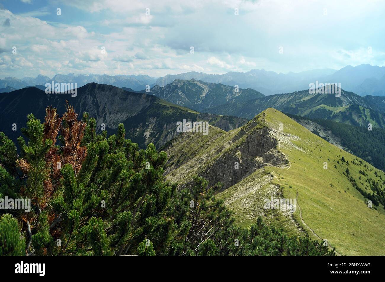 path on mountain ridge with panoramic view, mountain pine and cloudy sky Stock Photo