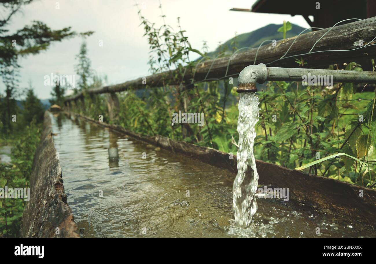 Drinking water in the mountains hi-res stock photography and images - Alamy