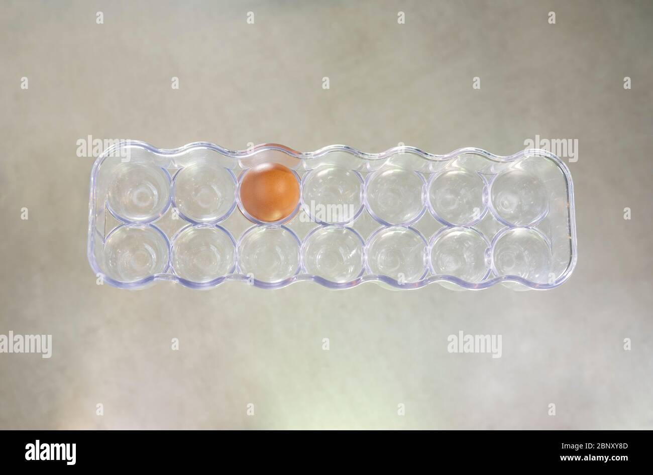 One egg in the box. Container for eggs isolated. Stock Photo
