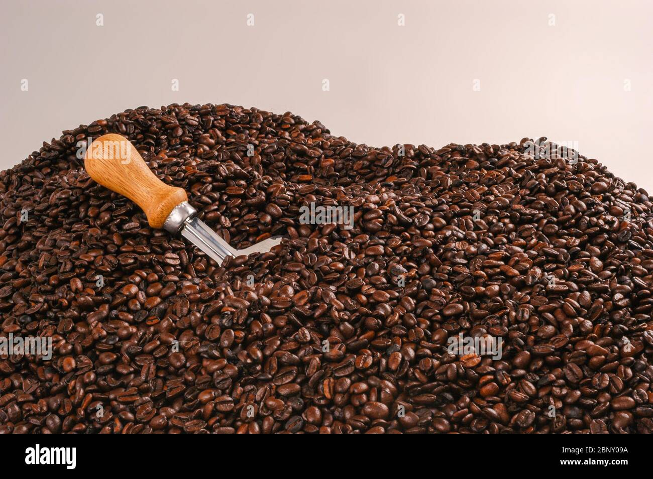 Coffee beans. Mountain of grains. Stock Photo