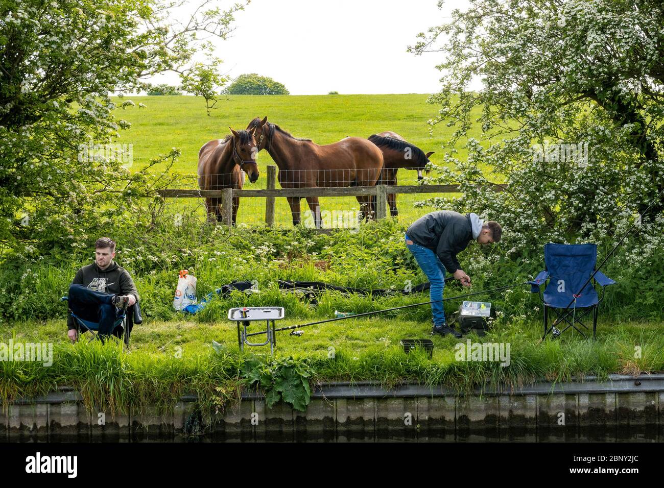 Eased High Resolution Stock Photography And Images Alamy
