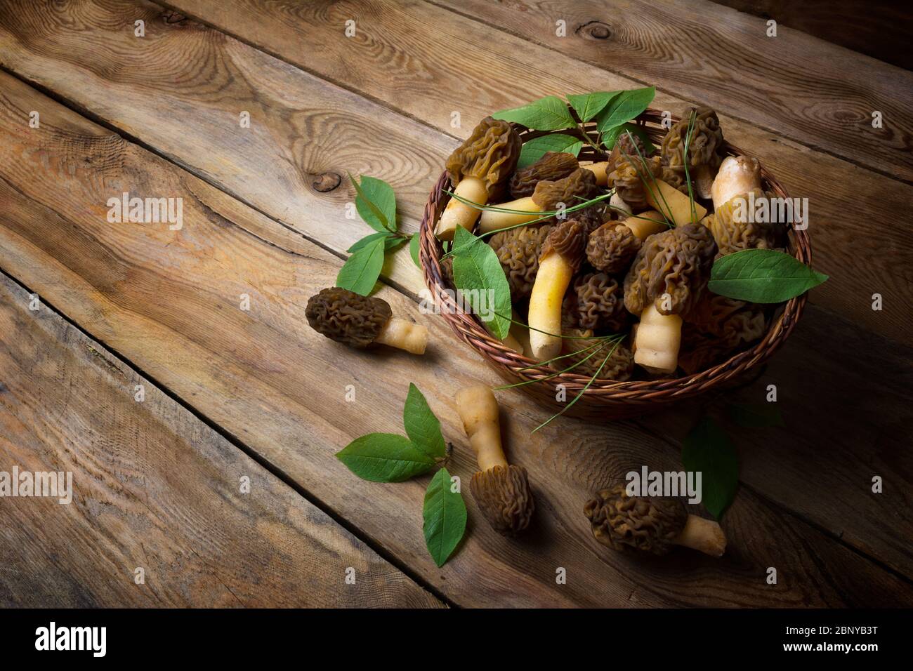Wicker basket with wild forest picking morel mushrooms and green leaves on the rustic wooden background. Vegetarian healthy food concept Stock Photo