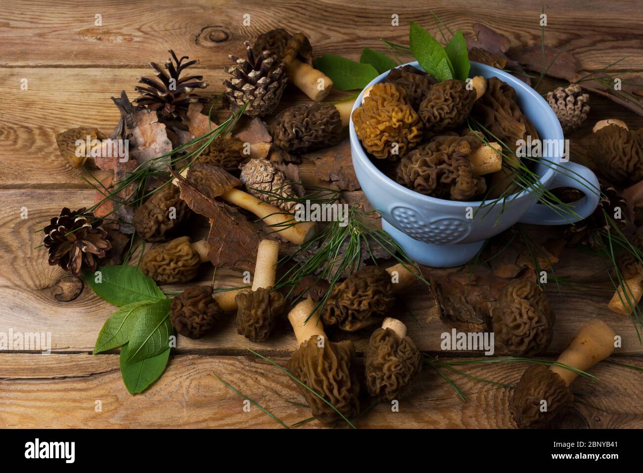 Blue rustic bowl with wild forest picking morel mushrooms on the wooden background. Vegetarian healthy food concept Stock Photo