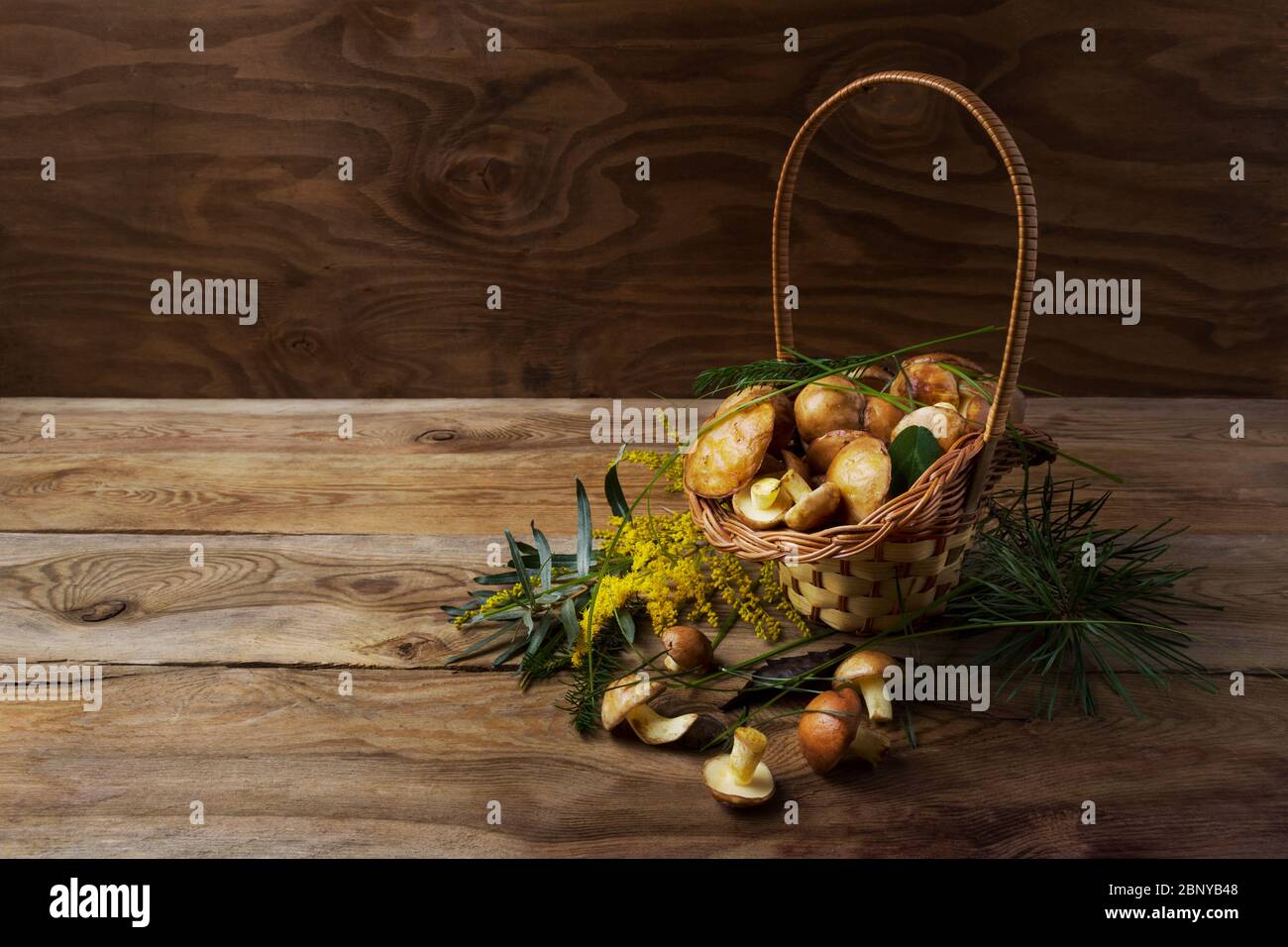 Wicker basket with wild forest picking slippery Jack mushrooms and green grass on the rustic wooden background. Vegetarian healthy food concept Stock Photo