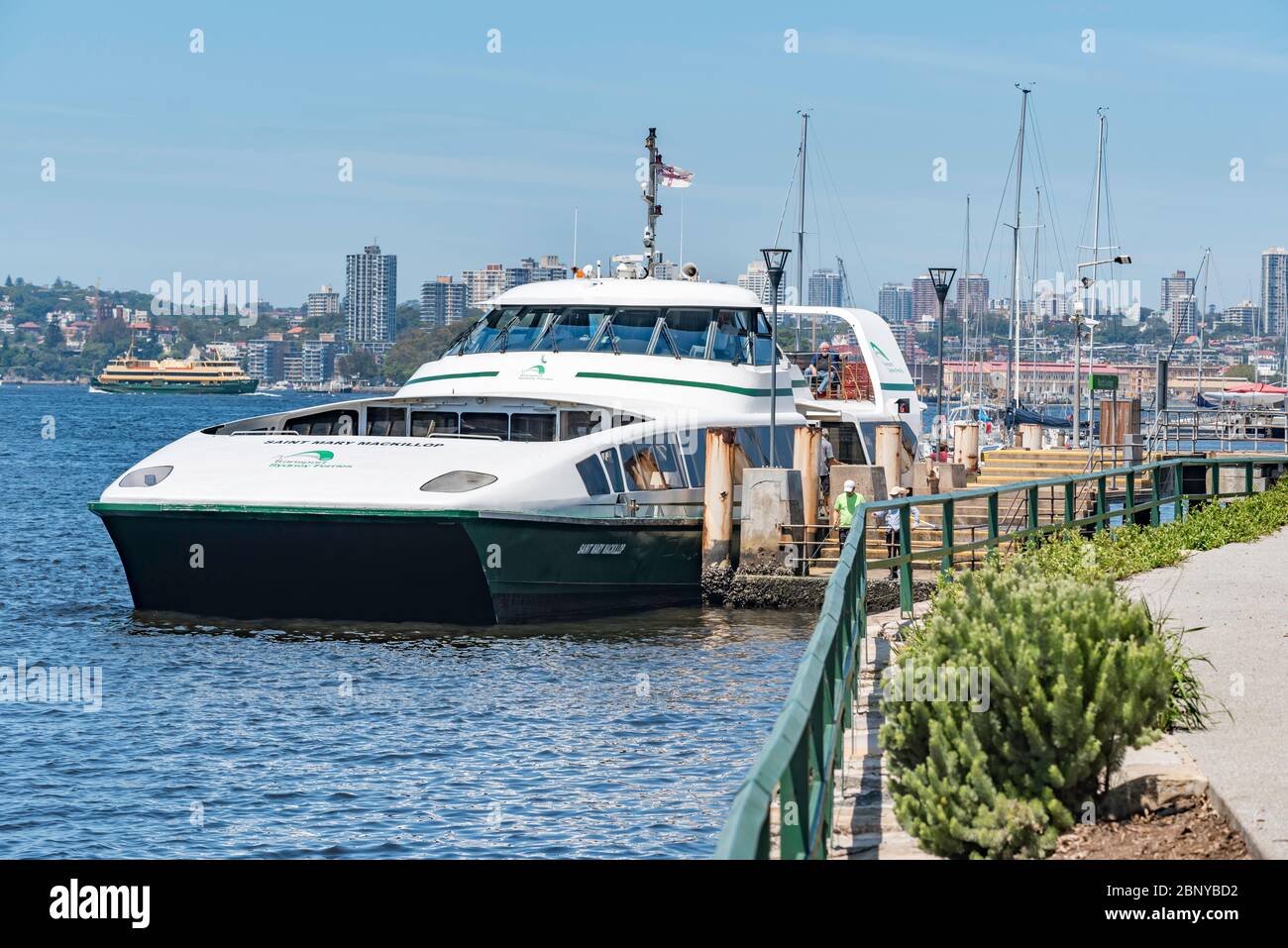 The Super Cat Class Sydney Ferry catamaran named Saint Mary Mackillop stopped at North Sydney Wharf in Sydney Harbour, Australia Stock Photo