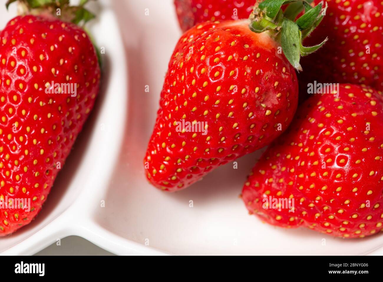 big red juicy strawberry close up, macro on white background Stock ...