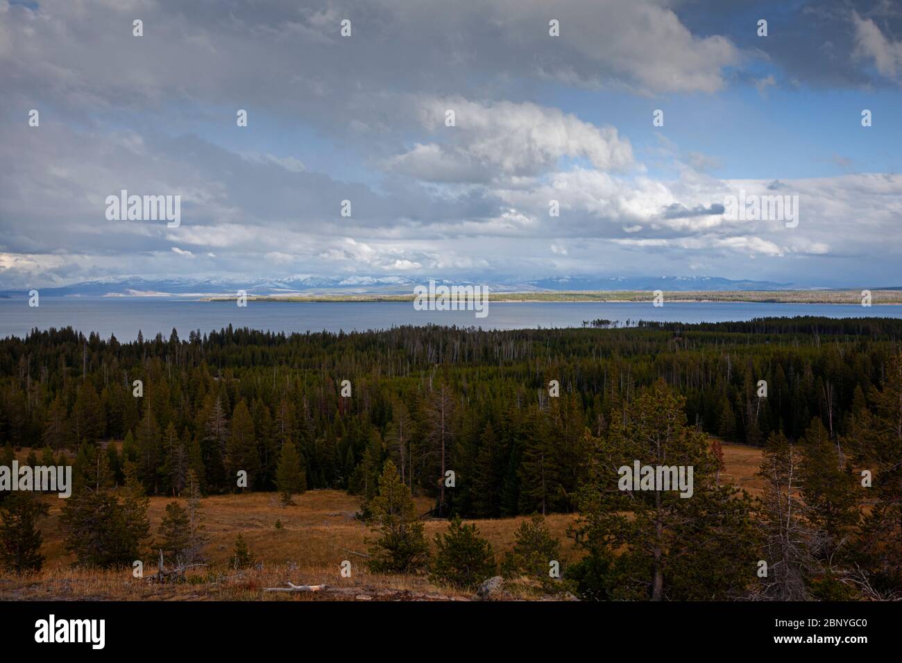 WY04374-00...WYOMING - View of Yellowstone Lake from the Yellowstone Lake Overlook Trail in Yellowstone National Park. Stock Photo